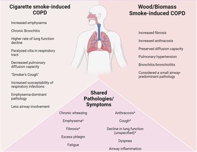 Burn pit exposure in military personnel and the potential resulting lung and neurological pathologies